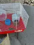 Мини Хамстерче Мъжко, снимка 3