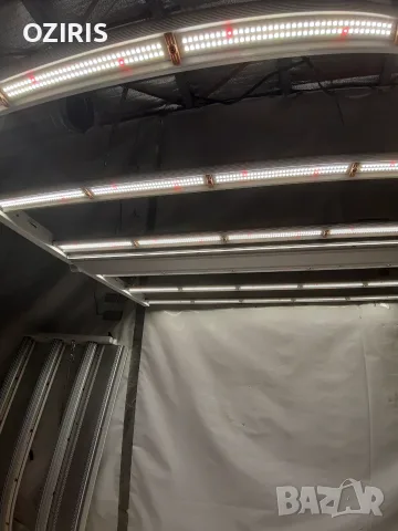PLATINUM HORTICULTURE 680W Dutch Master led grow light, снимка 3 - Лед осветление - 55544768
