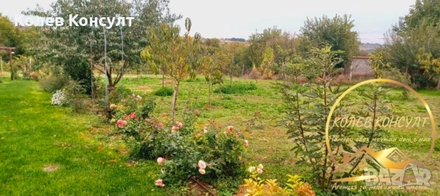 Къща село Селци, снимка 6 - Къщи - 54080385