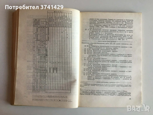 Книга Стратиграфия на епиконтиненталния тип горна креда в България – Н. Йолкичев (с автограф), снимка 6 - Специализирана литература - 54441598