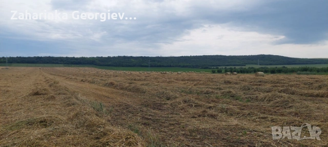 Продавам рулонни бали смес Ечемик, Овес и Пшеница със зърно, снимка 7 - За селскостопански - 54758047