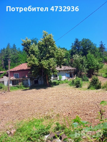 с. Враниловци, ул. М. Палаузов 46, обл. Габрово, снимка 5 - Къщи - 55081133