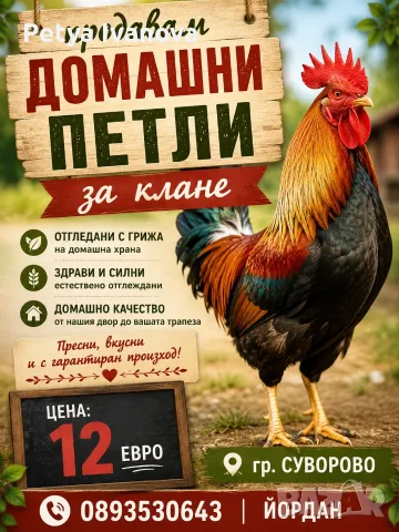 Продаваме домашни петли 