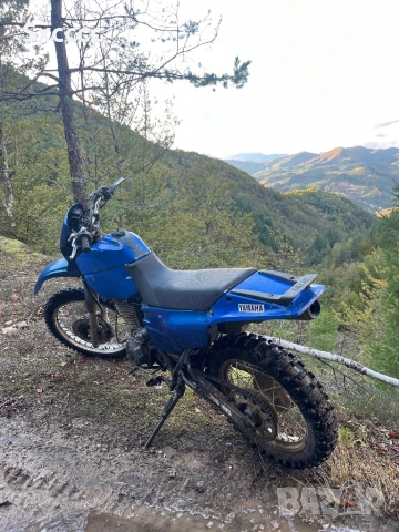 XT600