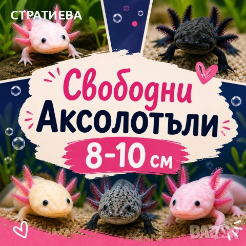 Аксолотъли 5-7см и 9-11см