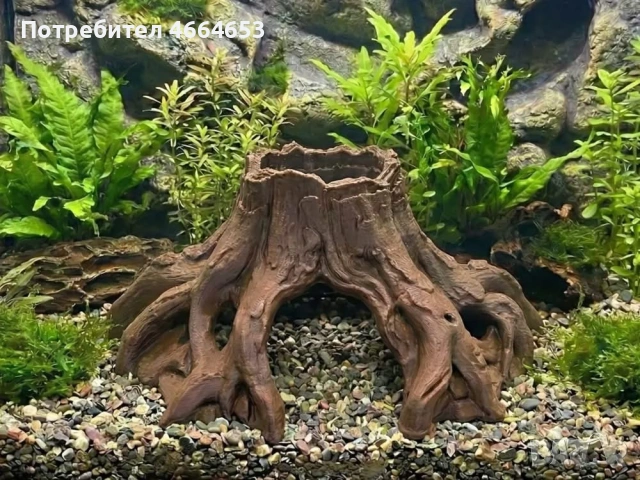 Декорации за Аквариум, снимка 5 - Оборудване за аквариуми - 54324492