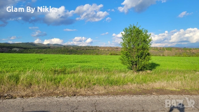 Продава Земя Доброславци, снимка 5 - Земеделска земя - 54602689