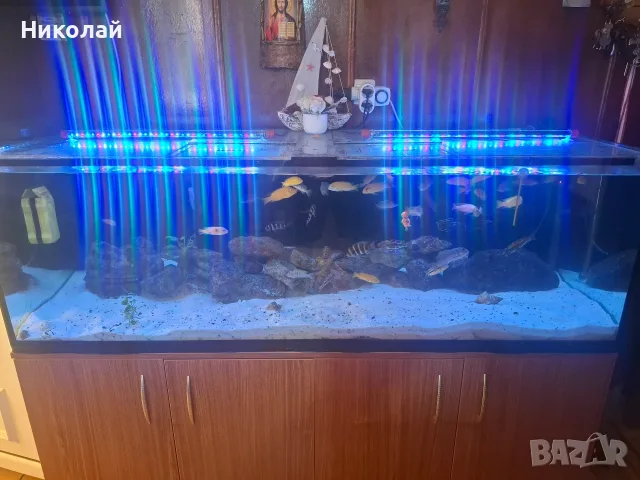 Продавам 500литров аквариум , снимка 3 - Аквариуми - 55646382