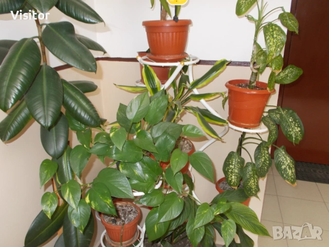 Nikon Coolpix L27   16.1mPx, снимка 13 - Фотоапарати - 53988904