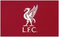 Нов Liverpool FC стенен стикер винил декорация за фенове, детска стая, гейминг, снимка 1
