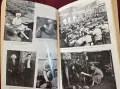 Singled Out. How Two Million Women Survived without Men After the First World War, снимка 11