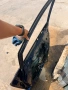 2086399 предна дясна врата от Ford Fiesta 1.1 Ti-VCTi, двигател FSJB, 75 кс., 5 ск., 2022г., 29000km, снимка 6
