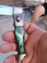 Старо джобно ножче тип краче, снимка 3