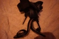 Токчета Steve Madden Elianna, снимка 5