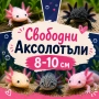 Аксолотъли 5-7см и 9-11см, снимка 1