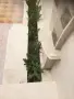 Врачански варовик, снимка 7
