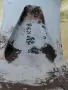 Лети джанти 17" за Mitsubishi Grandis (5x114.3) + [Гуми / подарък], снимка 9