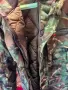Продавам чисто нови военни дрехи , снимка 1
