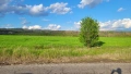 Продава Земя Доброславци, снимка 5