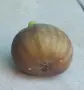 Домашни пресни смокини , снимка 1