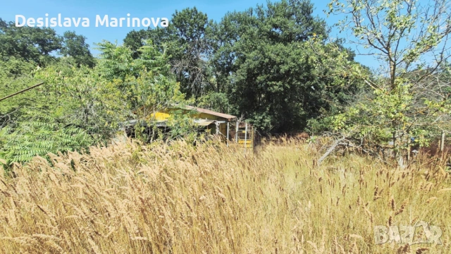 продавам парцел с ток и малка постройка Бровец - юг, снимка 6 - Парцели - 54818709