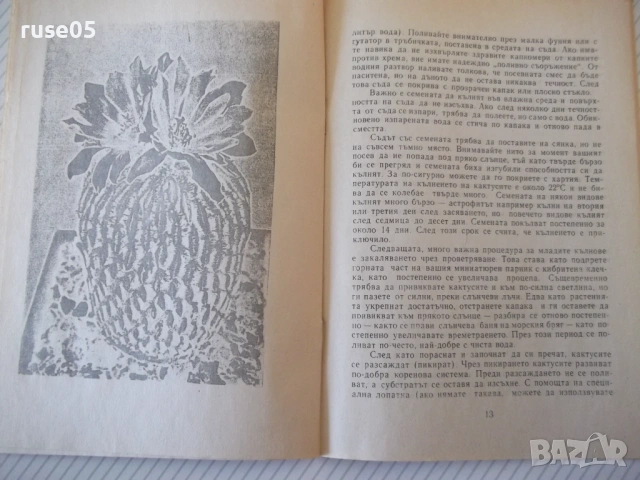 Книга "Ах , тези кактуси !.. - Сборник" - 24 стр., снимка 6 - Специализирана литература - 54400020
