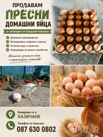 Продавам домашни яйца