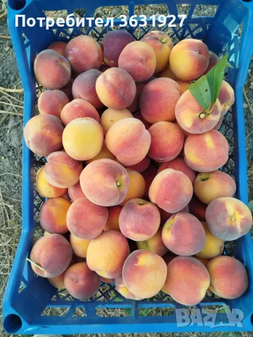 Продавам праскови