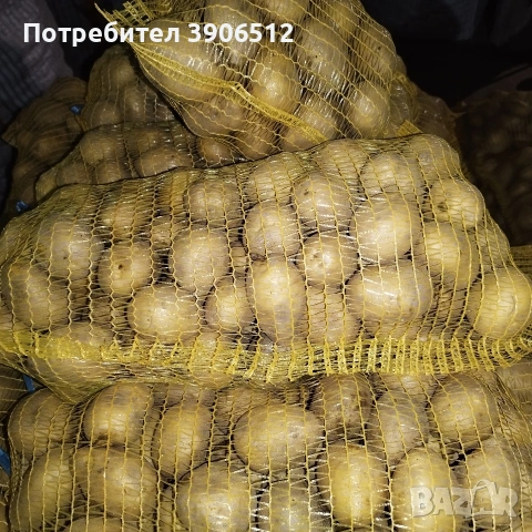 Самоковски картофи, снимка 2 - Други - 54136612