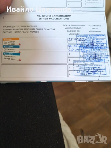 Алабай, снимка 6 - Алабай - 54042130