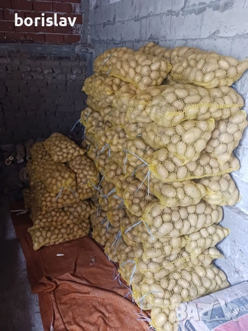 Продавам картоф Агата 80цента