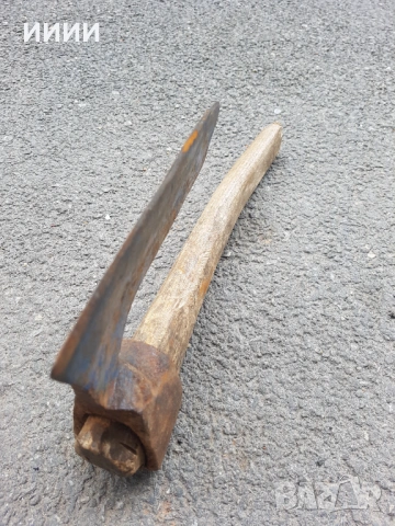 Брадва кривица 