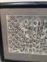 Шуменски учит.институт 1932-33г.фотография, снимка 3