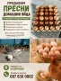 Продавам домашни яйца, снимка 1