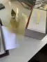 Xerjoff Naxos 1861 edp, снимка 2