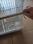 Клетка за птици двойна, снимка 4
