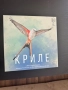 Криле Настолна игра, снимка 1