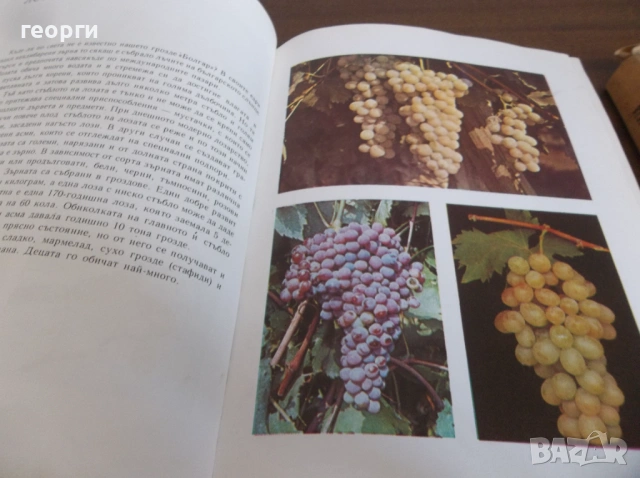 Книги, снимка 4 - Специализирана литература - 54271865