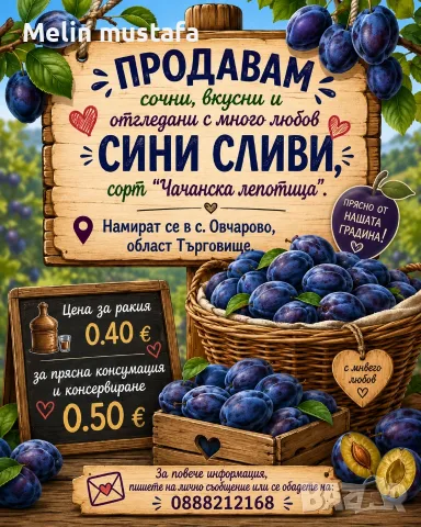 Сливи сорт чачанска лепотица