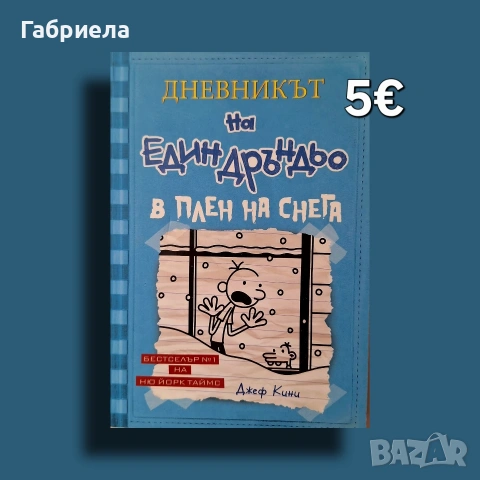 Дневникът на един дръндьо - в плен на снега