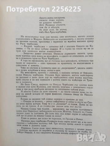 За майсторите, цветорезците и зографите, снимка 4 - Специализирана литература - 54824036