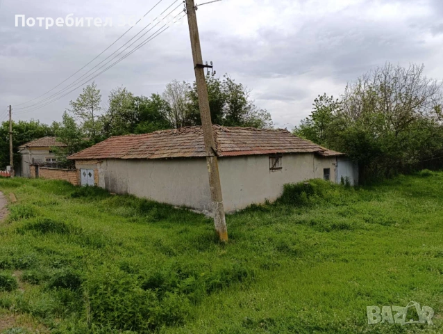 Къща с двор 1500 кв.м, гараж и стопански постройки в с. Надарево – от собственик, снимка 5 - Къщи - 54873577