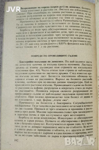 Оранжерийно зеленчукопроизводство, снимка 6 - Специализирана литература - 55408247