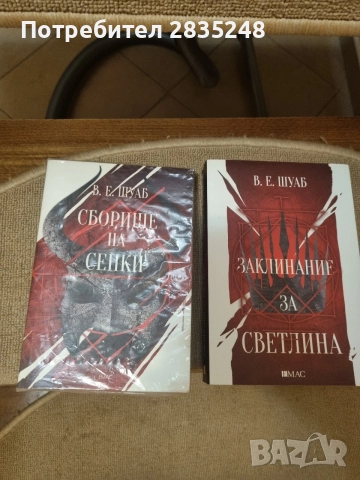 Сборище на сенки/ В. Е. Шуаб , снимка 3 - Художествена литература - 54527325