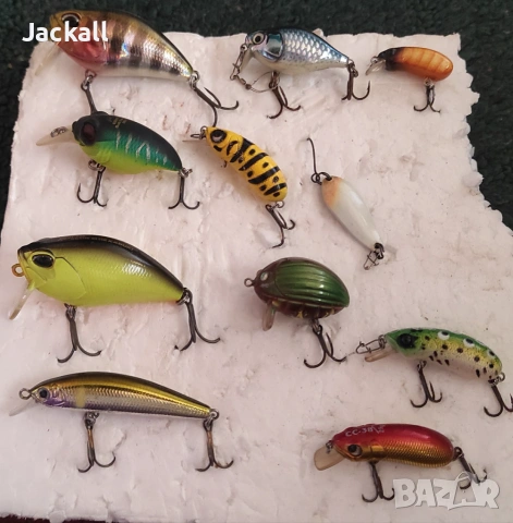 Duo Realis Kabuki , Megabass Griffon, Salmo,CC38/28 ,Rapala, Skagit, Forest клен/кефал, костур