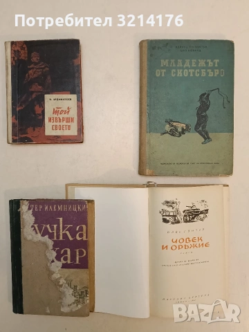 Мадежът от Скотсбъро - Хейуук Патерсън, Ърл Конрод (1952)