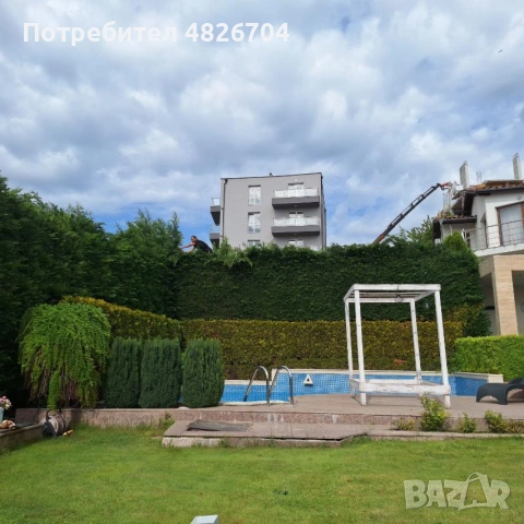 косене на трева оформене храсти, снимка 5 - Градински цветя и растения - 54564233