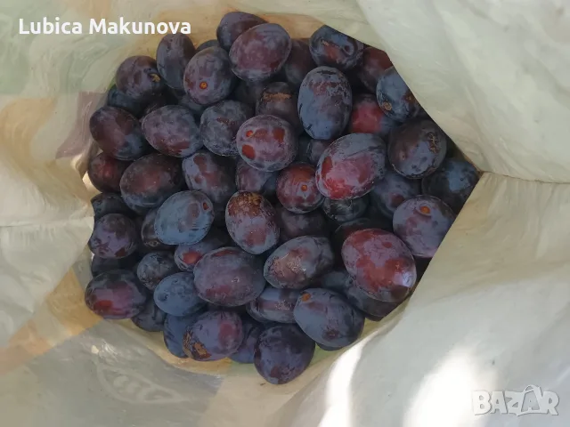  Домашни сливи за сладко – самобране от дърво