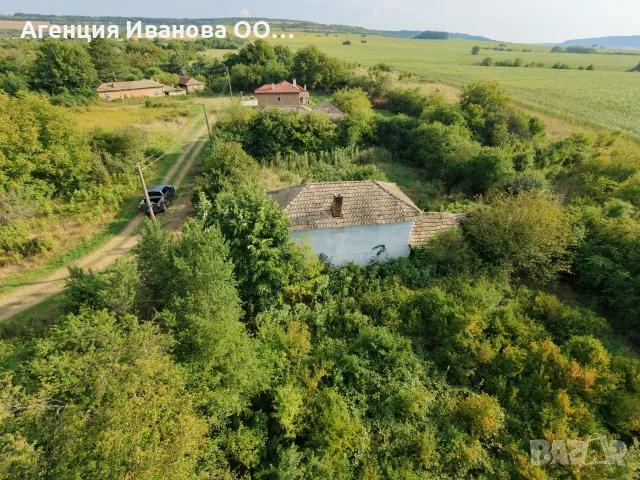 Къща с двор 2 059 кв.м, с.Глогинка, общ.Попово, снимка 2 - Къщи - 55555092