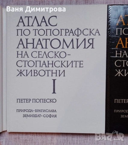 Атлас по топографска анатомия на селскостопанските животни. Том 1-3, снимка 2 - Специализирана литература - 54662765